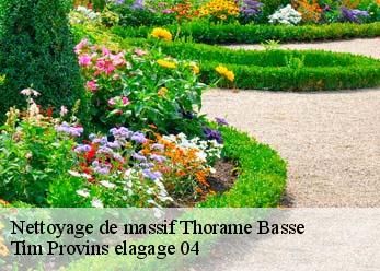 Nettoyage de massif thorame-basse-04170 Tim Provins elagage 04