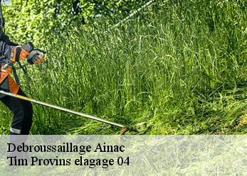 Debroussaillage  ainac-04000 Tim Provins elagage 04