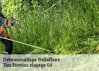 Debroussaillage  bellaffaire-04250 Tim Provins elagage 04