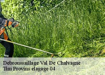 Debroussaillage  val-de-chalvagne-04320 Tim Provins elagage 04