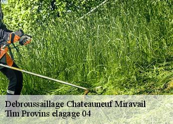 Debroussaillage chateauneuf-miravail-04200 Tim Provins elagage 04