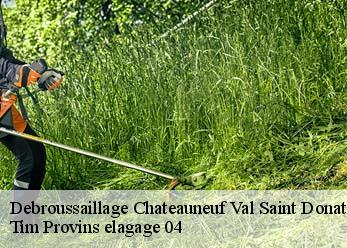 Debroussaillage  chateauneuf-val-saint-donat-04200 Tim Provins elagage 04
