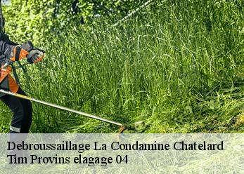 Debroussaillage  la-condamine-chatelard-04530 Tim Provins elagage 04