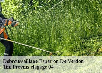 Debroussaillage esparron-de-verdon-04550 Tim Provins elagage 04