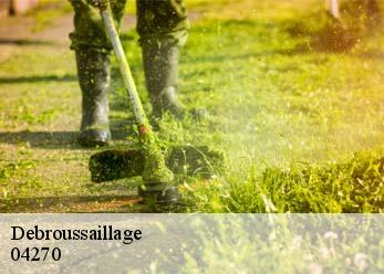 Debroussaillage 04270