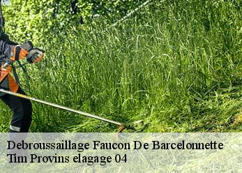 Debroussaillage  faucon-de-barcelonnette-04400 Tim Provins elagage 04