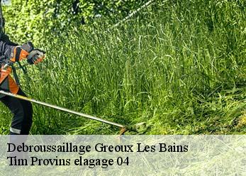 Debroussaillage  greoux-les-bains-04800 Tim Provins elagage 04