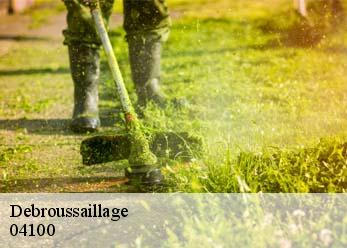 Debroussaillage 04100