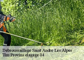 Debroussaillage  saint-andre-les-alpes-04170 Tim Provins elagage 04
