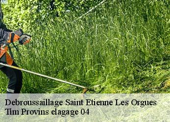 Debroussaillage  saint-etienne-les-orgues-04230 Tim Provins elagage 04