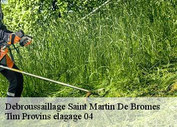 Debroussaillage  saint-martin-de-bromes-04800 Tim Provins elagage 04