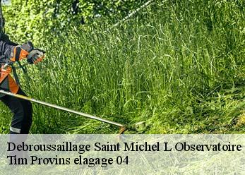 Debroussaillage  saint-michel-l-observatoire-04870 Tim Provins elagage 04