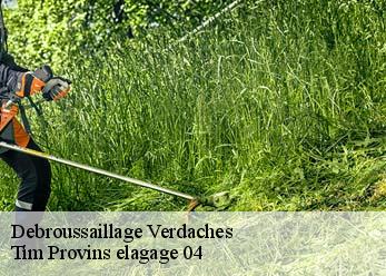 Debroussaillage  verdaches-04140 Tim Provins elagage 04