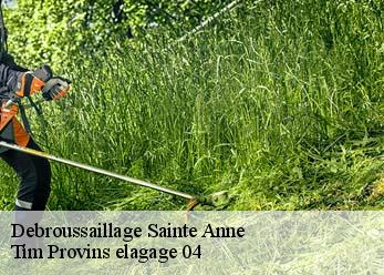 Debroussaillage  sainte-anne-04530 Tim Provins elagage 04